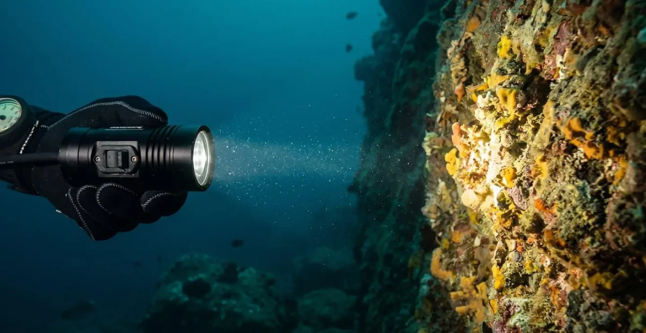 Phare vidéo compact tenu en main avec gant néoprène, faisceau lumineux éclairant une paroi rocheuse sous-marine à 2 mètres, révélant textures et couleurs réelles de la faune fixée